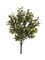 24-Pack: Real Touch Green Boxwood Pick with Lifelike Tips by Floral Home®
